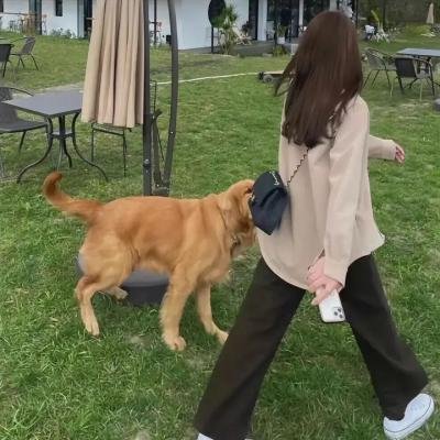 罐头笑声